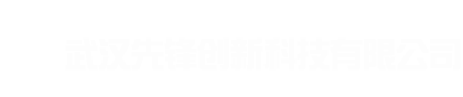 武汉先锋创新